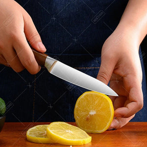 Professional Japanese Kitchen Knives Santoku Knife Stainless Steel Fish Fillet Slicing Meat Cleaver Chef Knife Cooking Tools